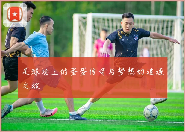足球场上的蛋蛋传奇与梦想的追逐之旅